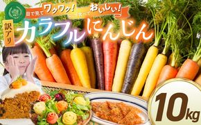 〈予約受付〉 メディア出演多数！【期間限定】（訳あり） 冬の寒さでぎゅっと濃い！虹色のカラフルにんじん 10kg 鈴盛農園 農家直送 甘い スーパーフード 健康 自慢 ジュース サラダ ギフト 贈り物 βカロテン ポリフェノール リコピン ジューシー 規格外 自慢 おためし H022-018