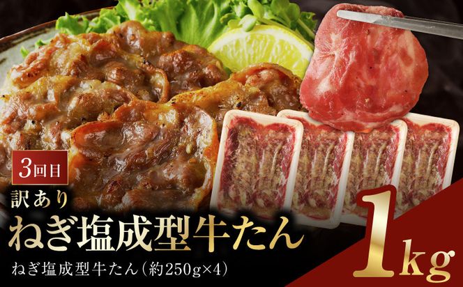 099Z607 アキラ商店 肉三昧 総量 4kg以上 定期便 全4回【毎月配送コース お楽しみ 焼肉 ていきびん 焼くだけ 小分け BBQ やきにく 数量限定】