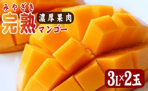 【2026年発送 先行予約】生産農家応援・濃厚果肉 みやざき完熟マンゴー 3L×2玉（マンゴー フルーツ アップルマンゴー 果物 くだもの 2026 先行受付 宮崎）