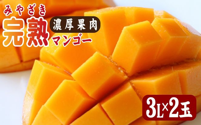 【2026年発送 先行予約】生産農家応援・濃厚果肉 みやざき完熟マンゴー 3L×2玉（マンゴー フルーツ アップルマンゴー 果物 くだもの 2026 先行受付 宮崎）