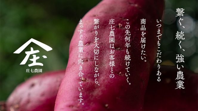【 訳あり 】 さつまいも ！ 紅はるか サツマイモ 芋 いも べにはるか 茨城 美味しい おいしい ワケアリ 訳アリ 規格外 不揃い [BK09-BK10-NT]