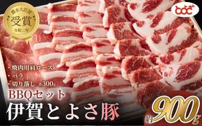 農水大臣賞受賞　伊賀とよさ豚　BBQセット【tysk0003】