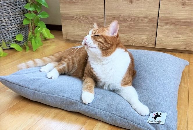 【たっぷり!!リアルダウン使用】大きめ! ペット用 羽毛クッションセット ペットベッド 犬や猫が大好き!! H162-049