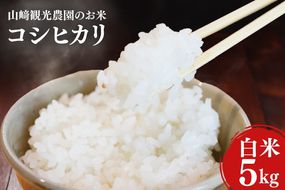 ＼先行予約・9月中旬より順次発送／山﨑観光農園のお米 コシヒカリ 白米5kg｜栃木県 益子町 ふるさと納税 お米 コシヒカリ 白米 精米 5kg 令和7年産 先行予約 9月中旬より順次発送 (AU014)