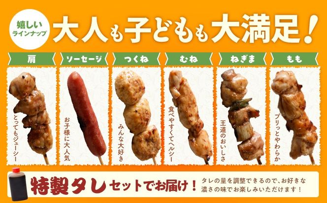 099Z415 【定期便】焼き鳥 6種36本セット×全6回 やきとりのタレ 個包装 【毎月配送コース】