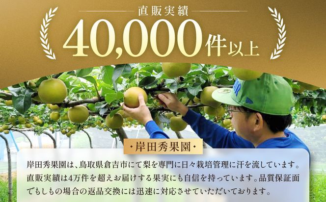 【2026年10月頃より発送】岸田秀果園 新興梨 (自家用)3kg 313726_CY007