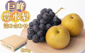 巨峰、豊水梨　詰め合わせ　約3kg箱 CC52