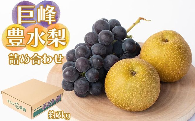 巨峰、豊水梨　詰め合わせ　約3kg箱 CC52