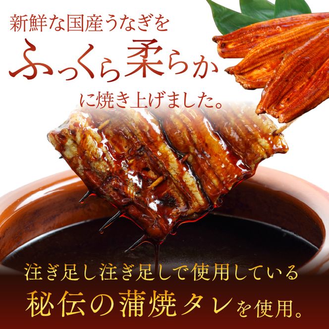 やわらか国内産うなぎ蒲焼満足サイズ！120～140g 2尾　計240g以上|うなぎ 鰻 蒲焼 満足 茨城県 行方市(AD-85-1)