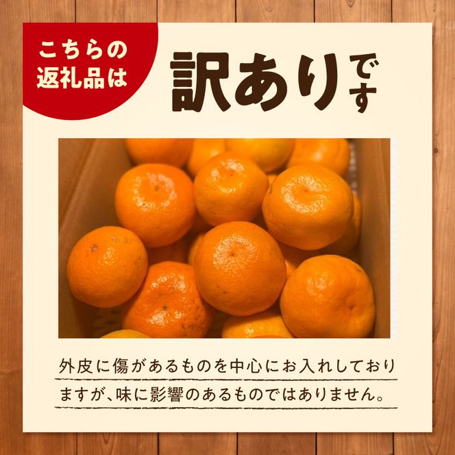 《2026年11月上旬～11月中旬頃までに順次発送予定》【2026年先行予約】【数量限定】有田みかん 極早生 約2.6kg 訳あり_TR1001