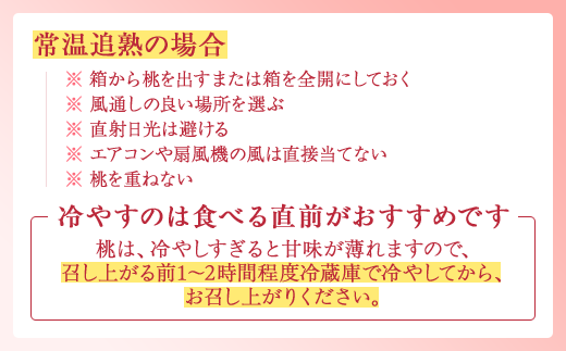 【産直・人気の特産品】和歌山の桃 約1.5kg