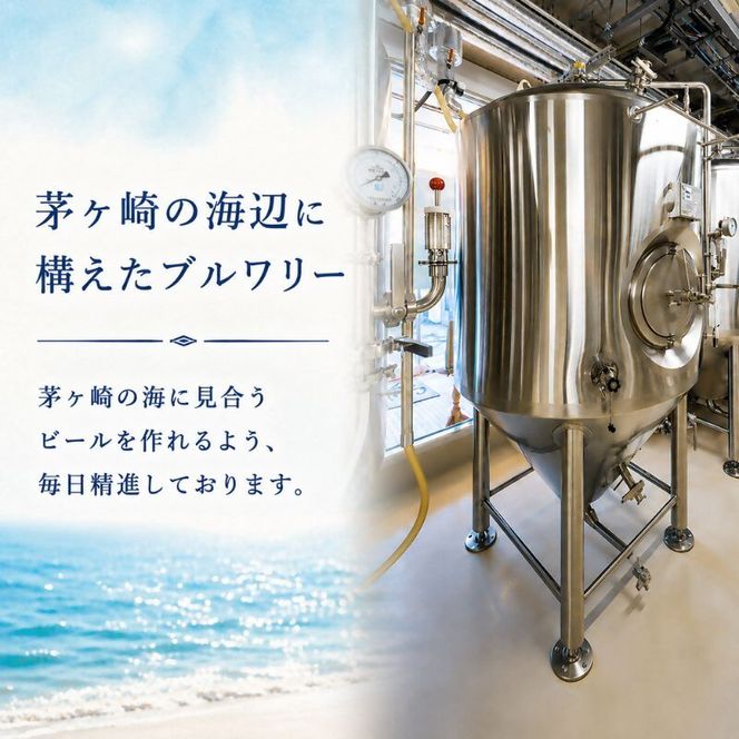 茅ヶ崎ビール (Weizen) 12本セット　【お酒　ビール　クラフトビール　瓶入り　化粧箱入り】 地ビール 瓶ビール アルコール飲料 家飲み 晩酌 バーベキュー BBQ 