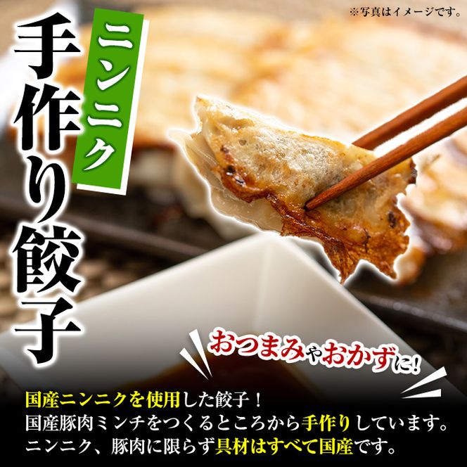 国産豚肉使用！手作りニンニク餃子(計100個・10個×10パック)国産 ギョウザ ぎょうざ お肉 にんにく おかず 惣菜 おつまみ【スーパーよしだ】akn058-06