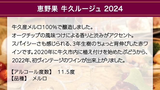 恵野果 牛久ルージュ 2024 750ml×1 茨城県産 牛久醸造場 日本ワイン ワイン お酒 贈り物 上品 果実 クリスマス 誕生日 赤ワイン メルロ 濃厚 辛口 スパイシー ミディアムボディ