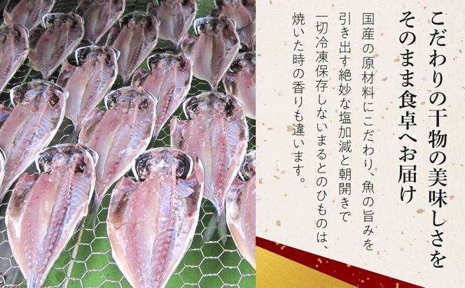 小田原ひもの詰合せ　SA30【惣菜 魚 干物 ひもの お取り寄せ 御中元 お中元 お歳暮 父の日 母の日 贈り物 家庭用 自宅用 贈答品 贈答用 ギフト 定番 朝食 朝ごはん 国産 中あじ  神奈川県 小田原市 】 142069_AD001