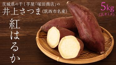 [ 塚田商店 ] 井上さつま 「 紅はるか 」 5kg ( 2Lサイズ ) 新物 ブランド芋 茨城県産 筑西市産 さつまいも サツマイモ いも 芋 イモ マツコの知らない世界 [BD038ci]