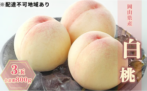 桃 2026年 先行予約 白桃 3玉 合計約800g もも モモ 岡山県産 国産 フルーツ 果物 ギフト [№5735-0660]