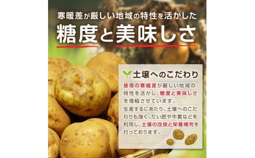 【予約：2026年10月から順次発送】北見市産 たまねぎとじゃがいもセット 約7kg ( 野菜 たまねぎ 玉ねぎ タマネギ 玉葱 ジャガイモ じゃがいも 北海道 セット ふるさと納税 )【002-0007-2026】