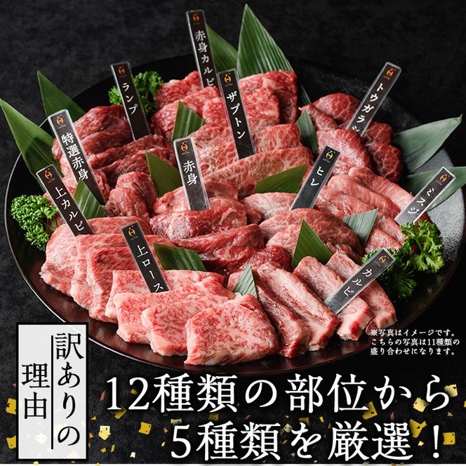 ＜訳あり＞おおいた和牛 お試し 食べ比べ 焼肉 5種 セット (合計350g・70g×5種) 小分け 焼肉 国産 牛肉 肉 低温熟成 A4 和牛 ブランド牛 BBQ 冷凍 大分県 佐伯市【DH251】【(株)ネクサ】