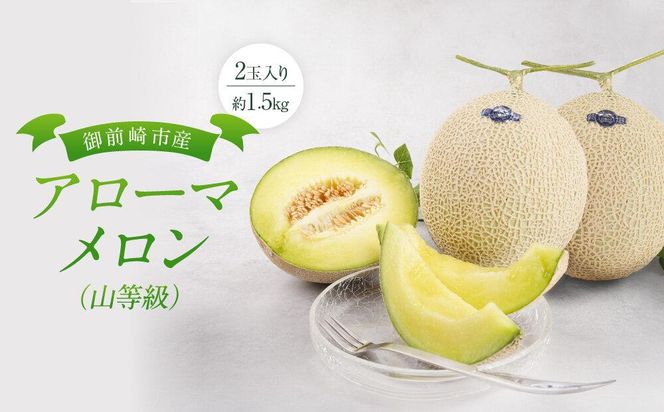 御前崎市産アローマメロン（山等級）2玉入り 222232_AQ007
