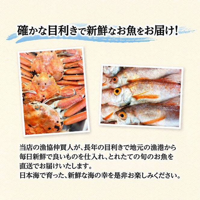 【 年3回 定期便 冷蔵 クール便 】にかほ市の海を自宅で堪能！ 鮮魚詰め合わせセット 3～4人前 「12月～3月配送対象外」【 下処理済み 鮮魚セット 象潟 海産物 海鮮 海の幸 秋田 にかほ 】