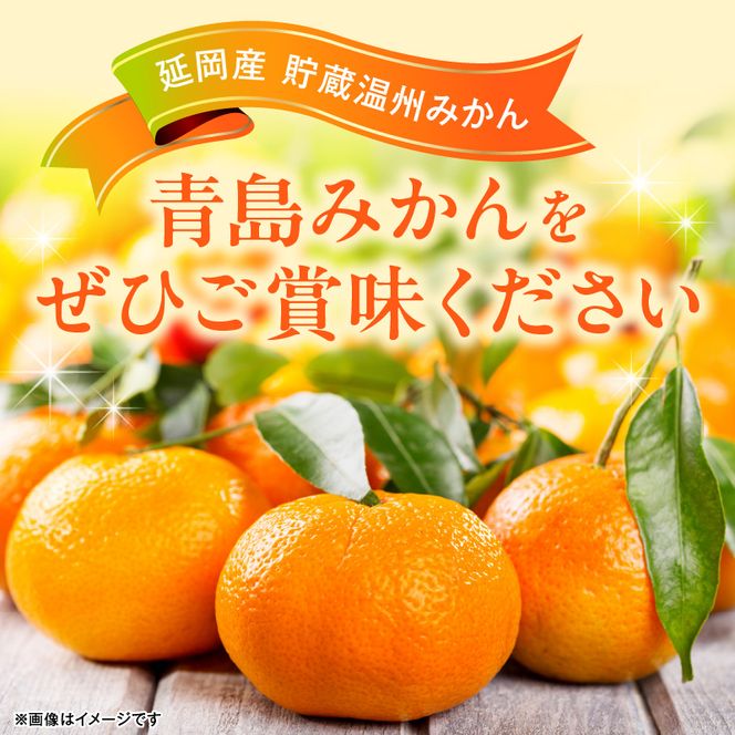 青島みかん（5kg）12月下旬から発送 N050-YA2274