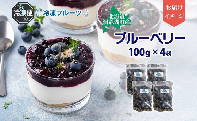 北海道産 ブルーベリー 100g×4袋 果物 果実 くだもの 冷凍食品 おやつ デザート ジュース ヨーグルト ジャム スイーツ 簡単 便利 一人暮らし 小分け 製菓 送料無料 冷凍 北海道 洞爺湖町