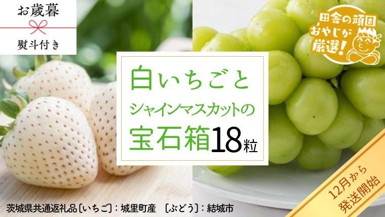 [ お歳暮 熨斗付 ] シャインマスカットと白いちごの 宝石箱 18粒[12月から発送開始](茨城県共通返礼品 [ぶどう]:結城市 [いちご]:城里町産)いちご 苺 イチゴ 白いちご 白イチゴ シャインマスカット マスカット 宝石箱 [BI376-NT]