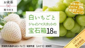 【 お歳暮 熨斗付 】 シャインマスカットと白いちごの 宝石箱 18粒【12月から発送開始】（茨城県共通返礼品 [ぶどう]：結城市　[いちご]：城里町産）いちご 苺 イチゴ 白いちご 白イチゴ シャインマスカット マスカット 宝石箱 [BI376-NT]