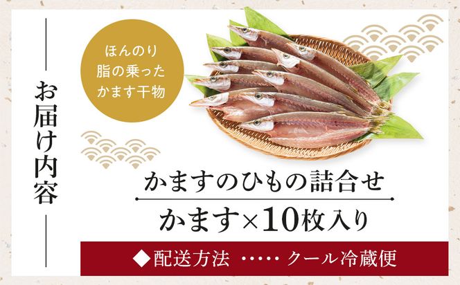 小田原かますのひもの詰合せ 10枚　SK-10 142069_AD013