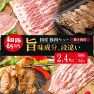 和豚もちぶた お試しセット 焼肉用 2400g 800g×3部位 豚バラ 肩ロース モモ