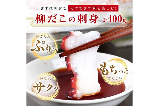 「しらぬか産柳だこ」とBBQに「たこ串(塩味・味噌味・醤油味)」のセット