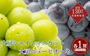 大房シャインマスカット＆大房ニューピオーネ 各1房 各約600g 果物類 フルーツ ブドウ ジューシーで濃厚 あま～い果汁がたっっぷり