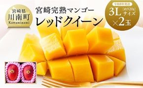 マンゴー 【令和8年発送】宮崎県産完熟マンゴー　「レッドクイーン」3L×2玉 【 果物 フルーツ マンゴー 宮崎県産 完熟マンゴー みやざきマンゴー 先行予約 数量限定 期間限定 】☆ [C03212]