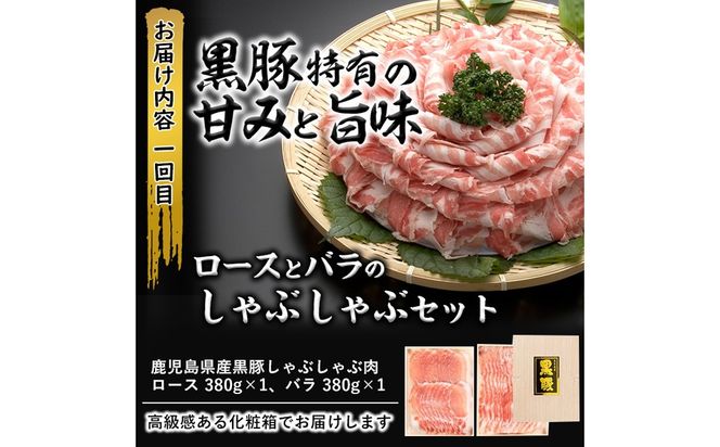 【定期便全3回】贅沢！国産黒毛和牛・豚肉定期便(3ヶ月連続・総量2.9kg以上) t0043-002