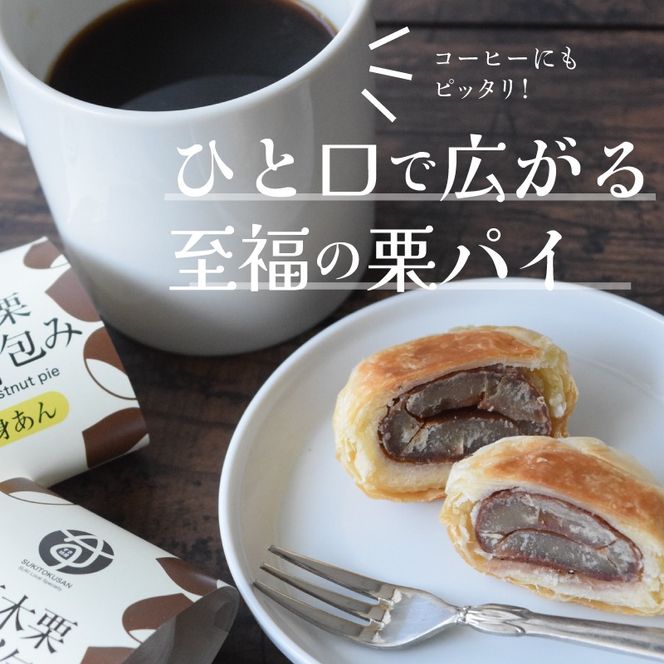 【宮崎県小林市産 須木栗使用】須木栗パイ包み 16個セット(栗たっぷり 秋の味覚 ブランド栗 香ばしい 焼き菓子 おやつ ティータイム お茶請け ご褒美スイーツ)
