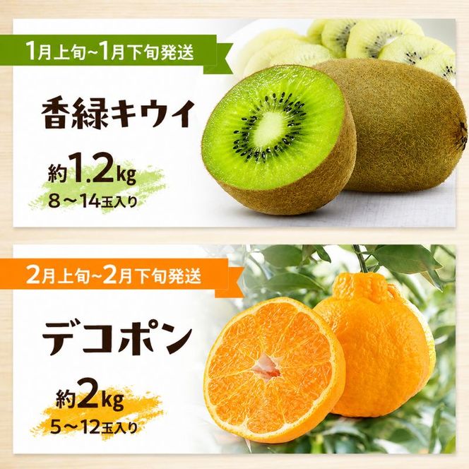 讃岐のフルーツ8回定期便【A】【香緑キウイ】【デコポン】【さぬきひめ苺】【なつたより(びわ)】【さぬきの桃】【さぬきゴールドキウイ】【さぬきキウイっこ】【小原紅早生みかん】