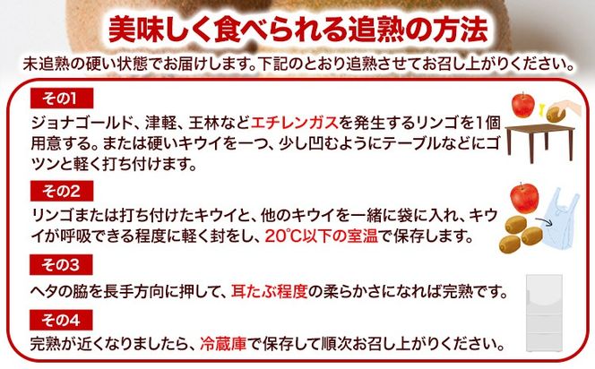 先行予約 厳選 キウイ フルーツ 約1kg 約2.5kg 約5kg 各＋250g (傷み補償分) 池田鹿蔵農園@日高町（池田農園株式会社）《11月中旬～2027年4月下旬出荷》和歌山県 日高町 キウイ キウイフルーツ 果物 フルーツ きうい 【配送不可地域あり】---wsh_idn377_11c4g_26_8000_1kg---