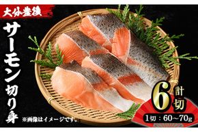 大分豊後サーモン 切り身(計6切) 魚 鮮魚 切身 無塩 冷凍 佐伯 養殖 国産 個包装 大分県 佐伯市【EA28】【(株)トーワ】