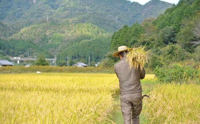 幻のお米ハツシモ 4.5kg 精米 白米 農薬 化学肥料不使用 甘み 型くずれしにくい 冷めてもおいしい お弁当 おにぎり 