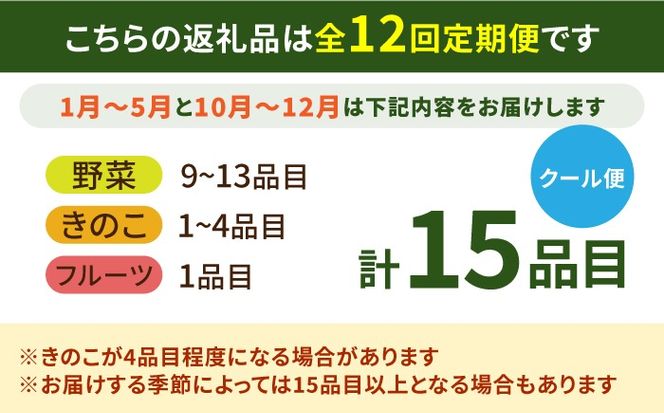 【12回定期便】豪華！野菜 セット 15品目以上 12回 定期便 / 野菜 フルーツ きのこ 詰め合わせ 南島原市 / 吉岡青果 [SCZ019]