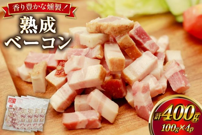 y{茧szx[R ؂藎Ƃ JJ̏nx[R 100g 4p Zbg v400g [JJLab {茧 s 452061424] Ⓚ  n X[N