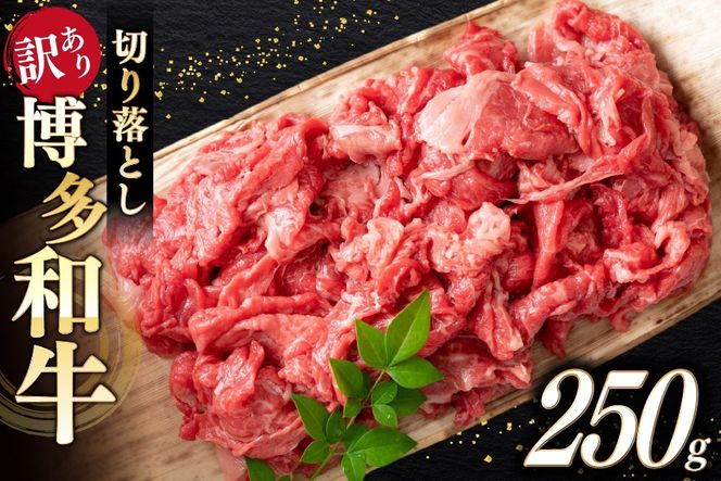 牛肉 訳あり A4 A5 博多和牛 切り落とし 250g [木村食品 福岡県 宇美町 um40beg040039] 訳アリ 牛 肉 牛バラ 肩肉 バラ肉