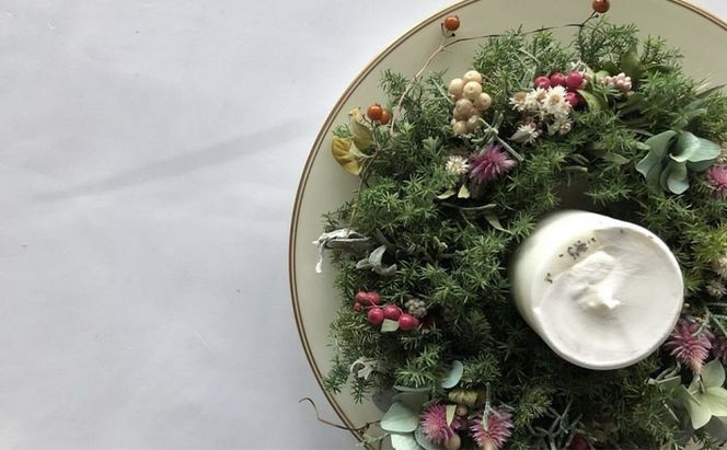 クリスマスリース インテリア 植物 季節商品 冬 クリスマス用品 クリスマスグッズ 飾り ナチュラル シック おしゃれ 