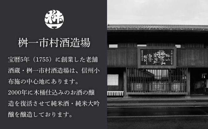 急速冷凍酒 スクウェア・ワン 500ml［桝一市村酒造場］ お酒 日本酒 地酒 ご当地 生酒 プレゼント 贈答 長野県 信州 お取り寄せ 蔵元直送 辛口