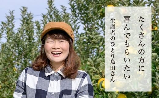 【訳あり】 シナノスイート 約3kg 6～12玉 ［おぶせファーマーズ］ 不揃い 規格外 家庭用 果物 フルーツ りんご 林檎 リンゴ 果物 フルーツ 長野県産 信州産 令和7年産 【2025年10月中旬〜11月上旬発送】 ［FH-54］