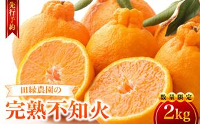 【先行予約】【数量限定】田縁農園の完熟不知火（しらぬい）2kg ※離島への配送不可 （2027年2月10日より順次発送） IKTA029