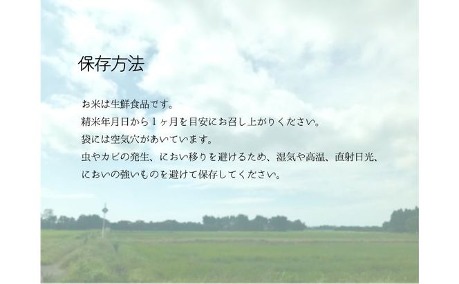 お米 千葉県産にじのきらめき5kg 米 コメ 精米 白米 人気 にじのきらめき もちもち 九十九里町 千葉県