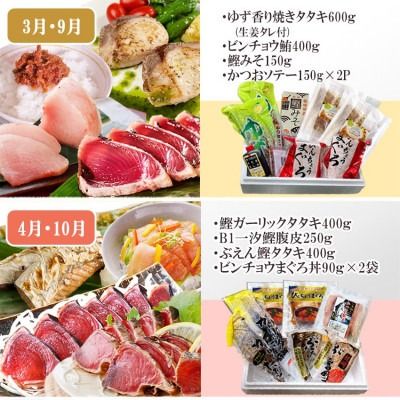 枕崎・お魚よりどり詰め合わせ定期便(6回配送)　FF-6005 【1496265】