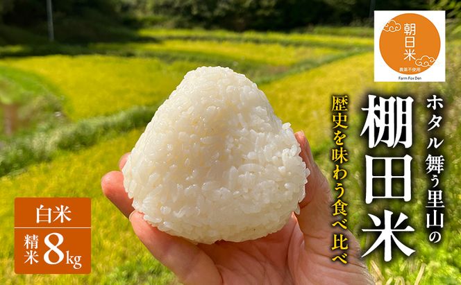 先行受付 伝統稲と現代稲食べ比べ 白米 ホタル舞う里山の棚田米 精米8kg 令和8年産 朝日2kg にじのきらめき2kg 各2袋